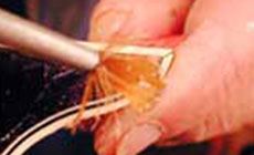 Brushing the acetone