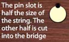Bridge pin slot