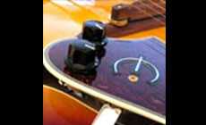 Mandolin bridge mirror