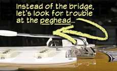 Look at the peghead, not the bridge