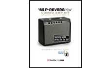 '65 P-Reverb 15W Amp Kit Instructions
