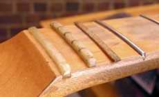 Carlos Santana's string nut