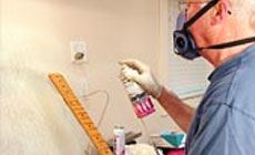 Photo: ColorTone aerosol