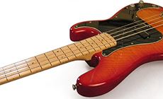 Finished fretless bass