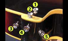 Five strap button locations