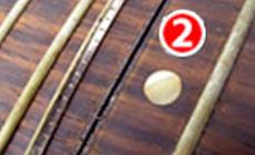 Neck removal step two