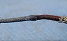 Cloth insulation repaired