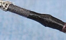 Pickup tape covering wires