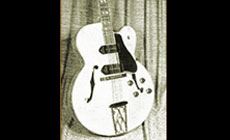 Es-350t-guitar