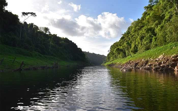 Jungle To The Chiquibul River
