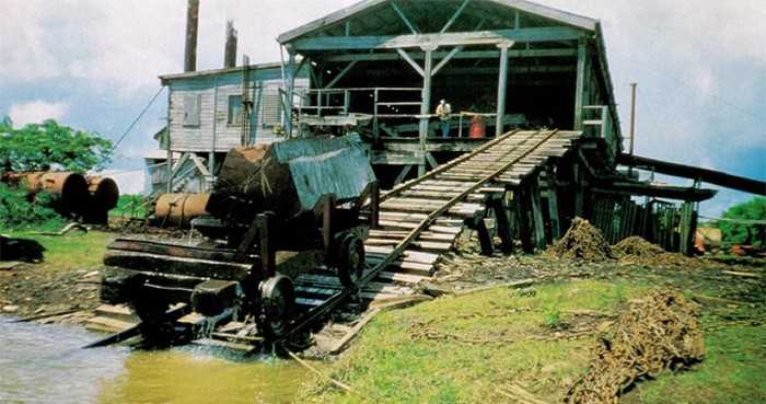 Steam Powered Sawmill