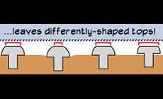 Leveling frets differently shaped tops