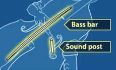 Illustration: bass bar, sound post