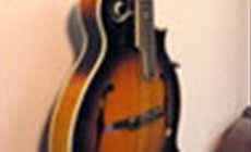 eBay mandolin