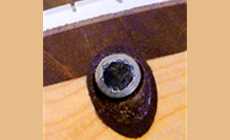 Ruined truss rod nut