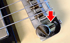 Bridge adjusting screw
